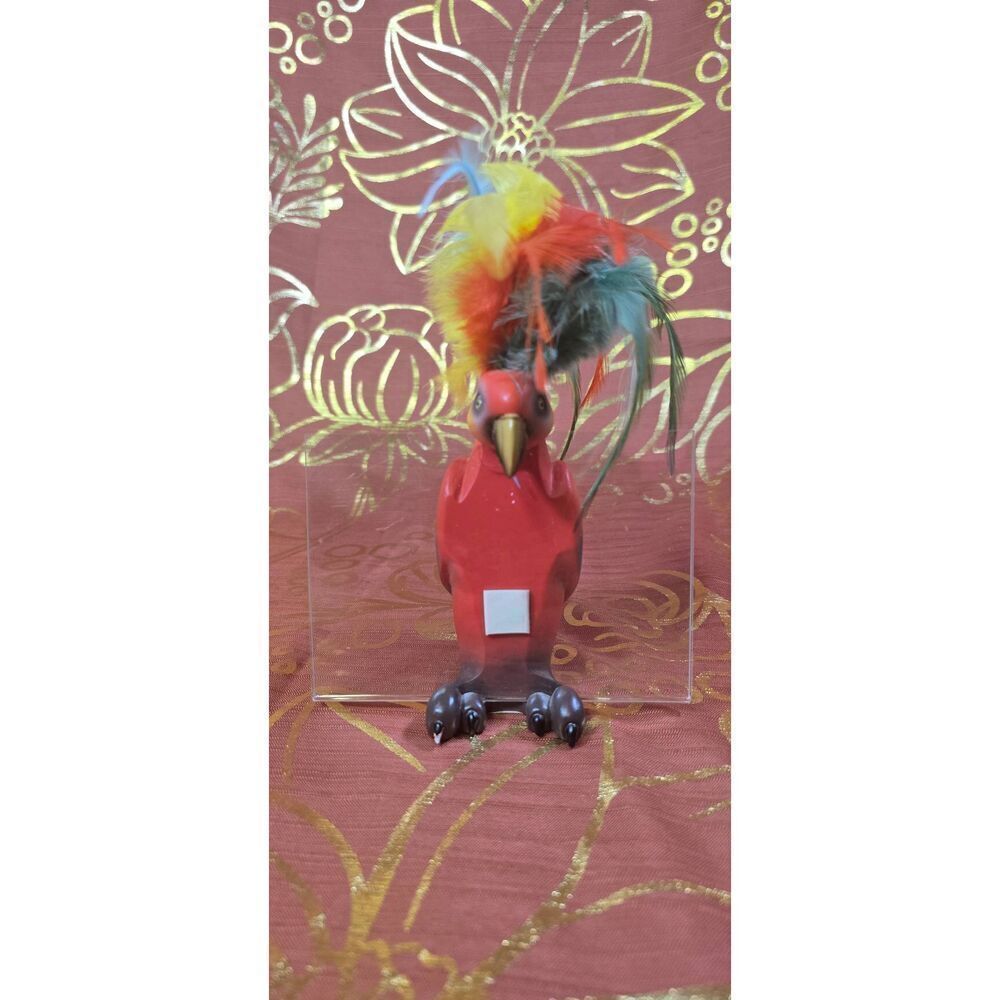 Rare Tropical Parrot 4x6 Picture Holder